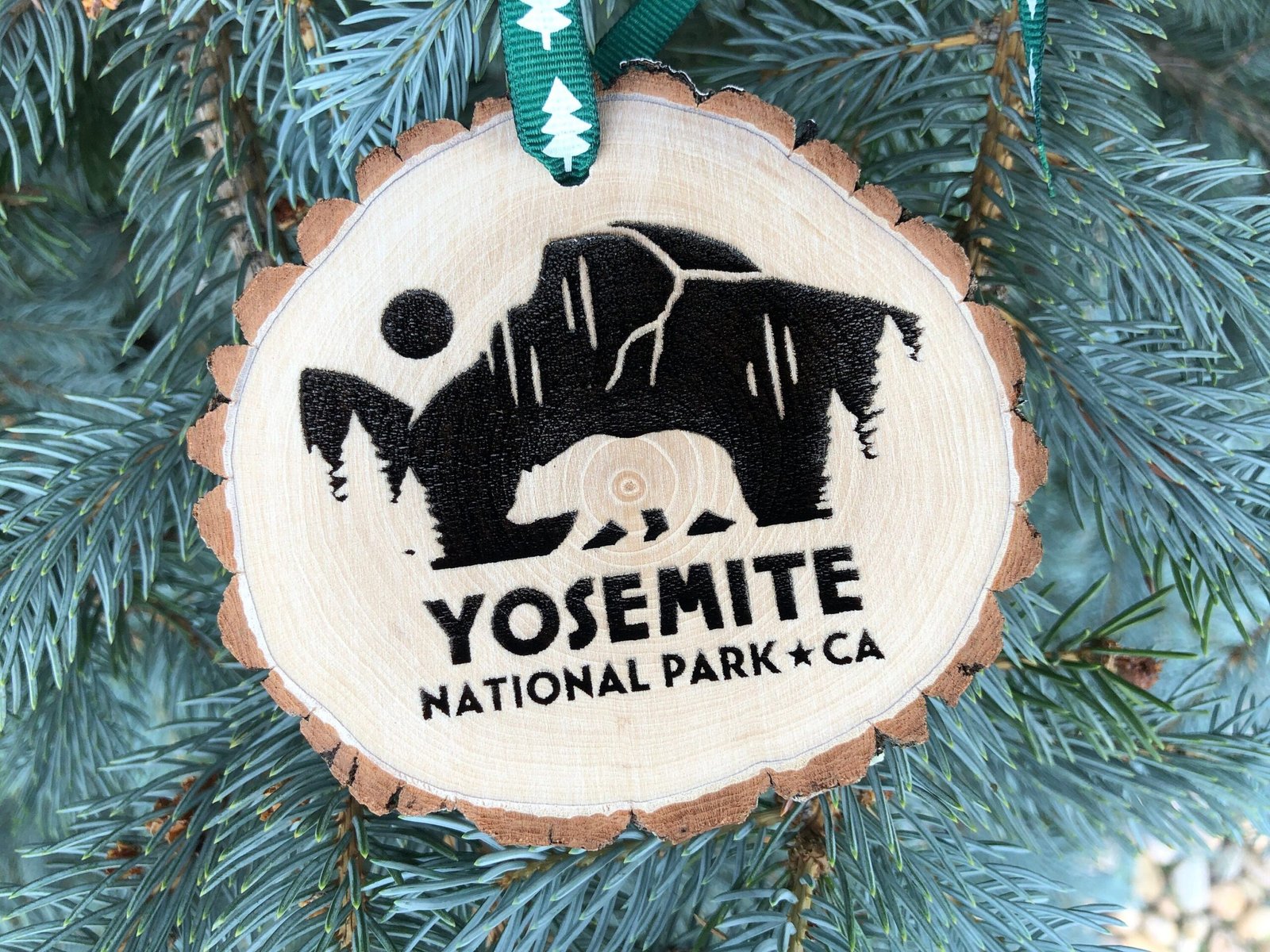 Yosemite National Park, Yellowstone, Glacier, Wood Slice, Personalized, Hiking, Family Reunion, Souvenir, Free Personalization